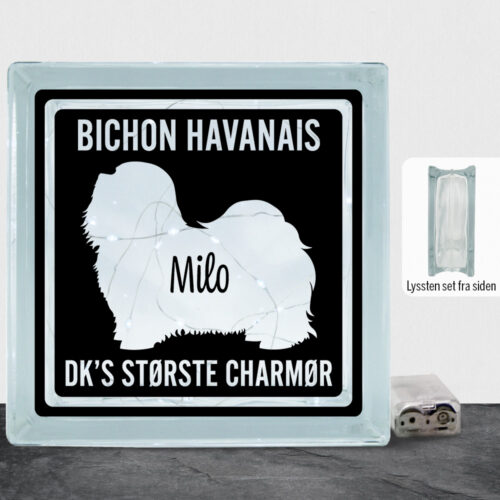 MyPets Bichon Havanais | Lyssten