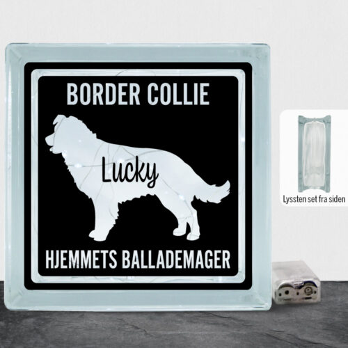 MyPets Border Collie | Lyssten