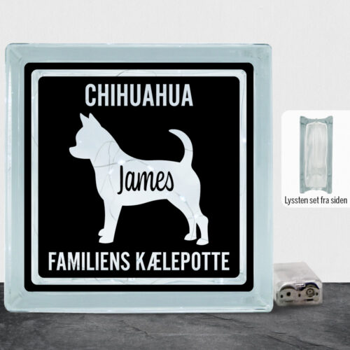 MyPets Chihuahua (korthåret) | Lyssten