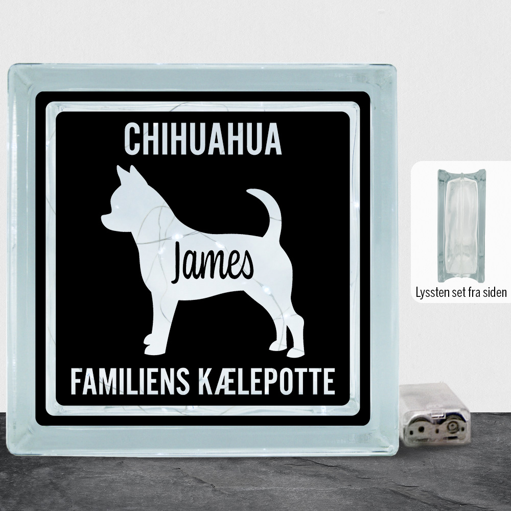MyPets Chihuahua (korthåret) | Lyssten