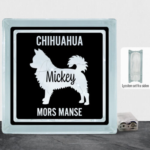 MyPets Chihuahua (langhåret) | Lyssten