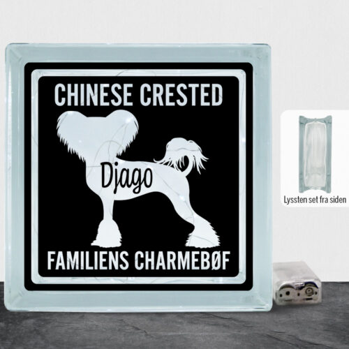 MyPets Chinese Crested | Lyssten