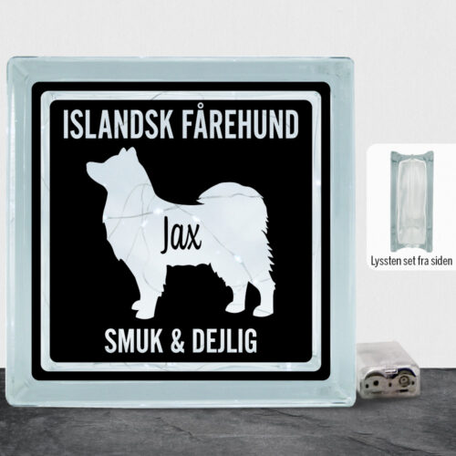 MyPets Islandsk Fårehund | Lyssten