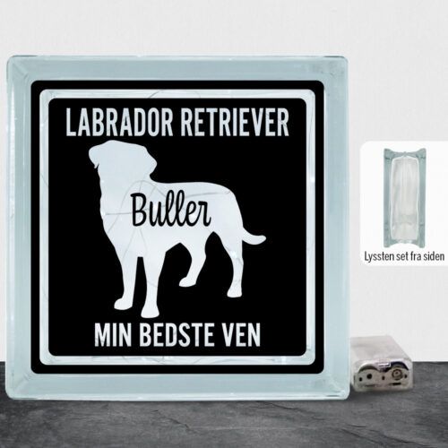 MyPets Labrador Retriever | Lyssten