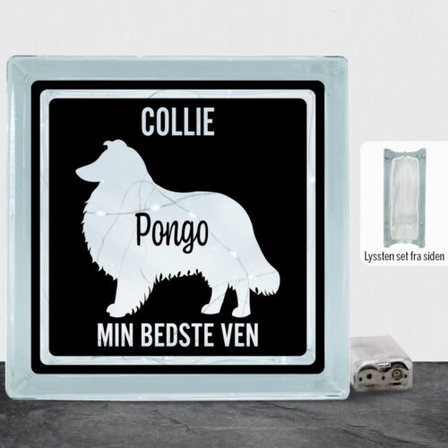 MyPets Collie | Lyssten