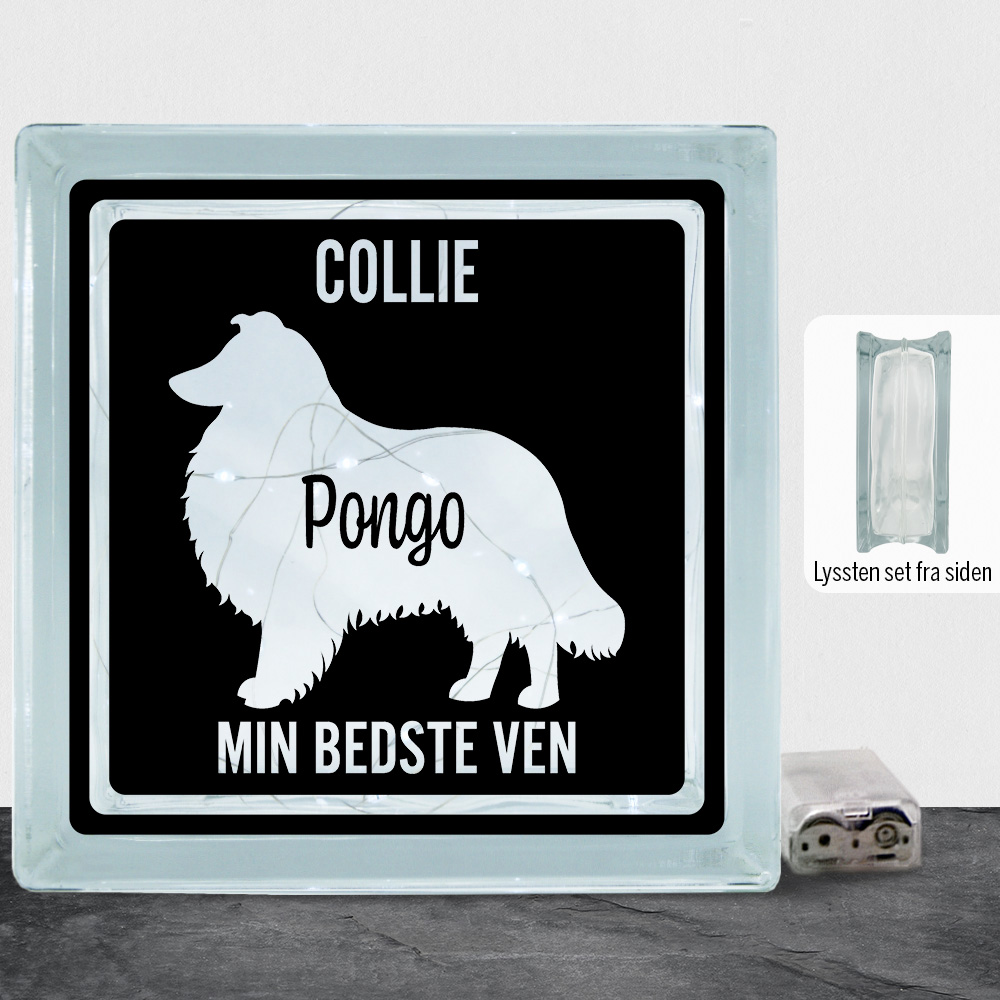 MyPets Collie | Lyssten