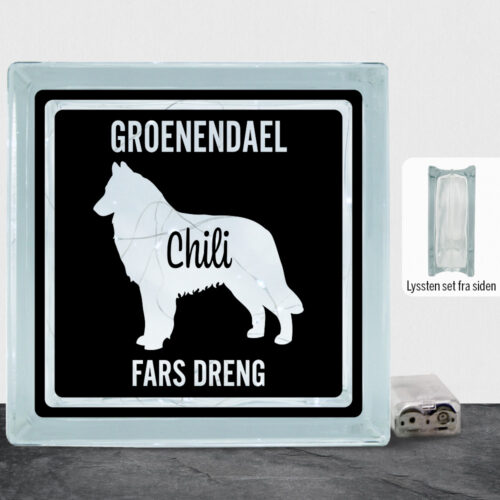 MyPets Groenendael | Lyssten