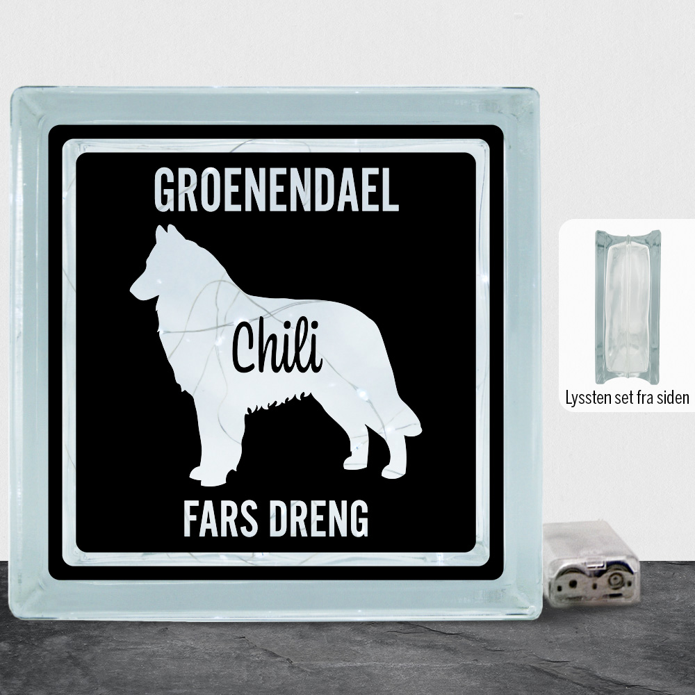 MyPets Groenendael | Lyssten