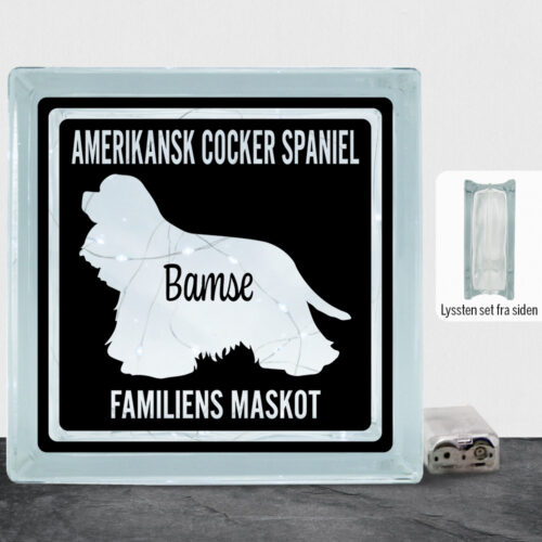 MyPets Amerikansk Cocker Spaniel | Lyssten