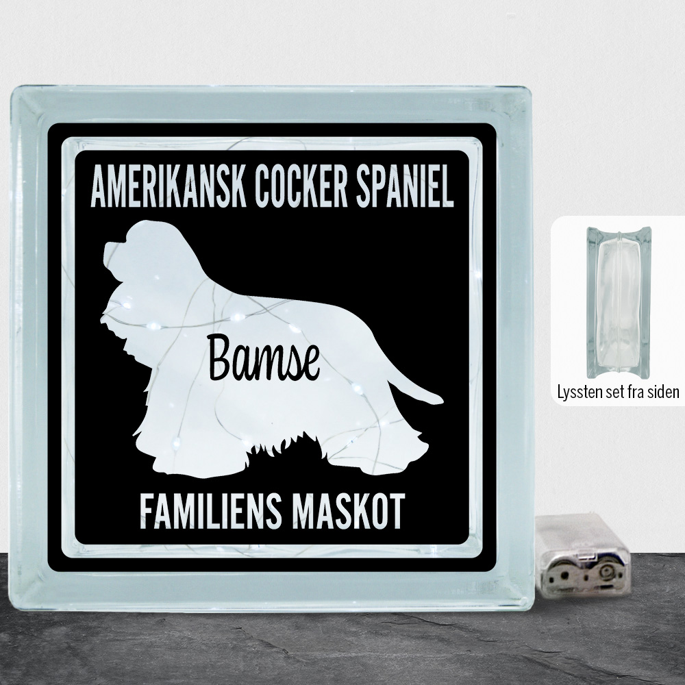 MyPets Amerikansk Cocker Spaniel | Lyssten