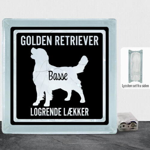MyPets Golden Retriever | Lyssten