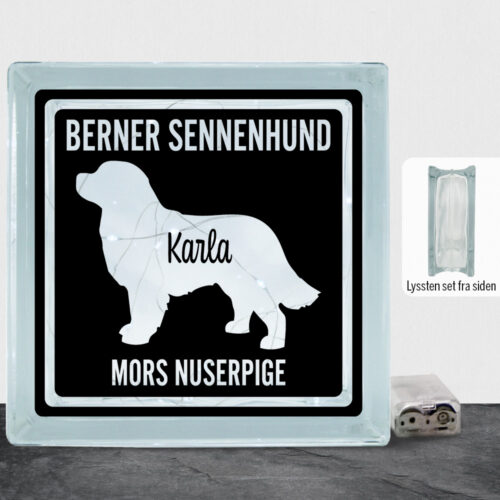 MyPets Berner Sennenhund | Lyssten