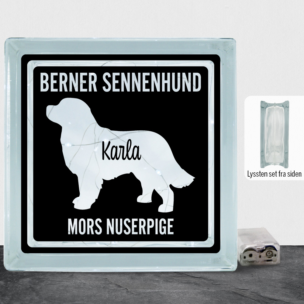 MyPets Berner Sennenhund | Lyssten