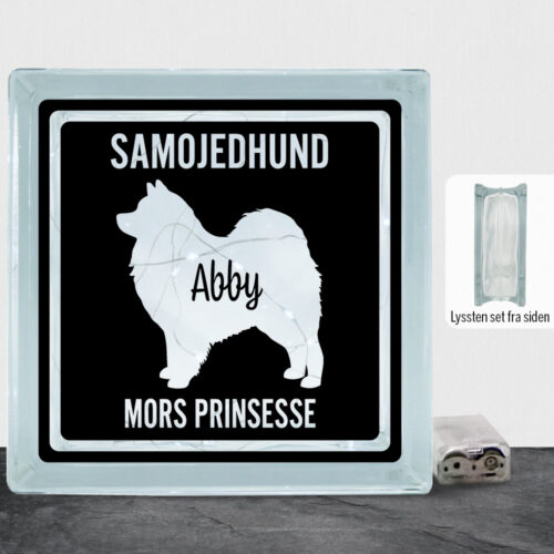MyPets Samojedhund | Lyssten