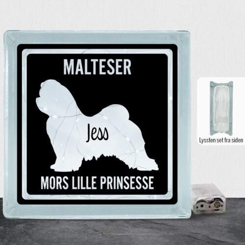 MyPets Malteser | Lyssten