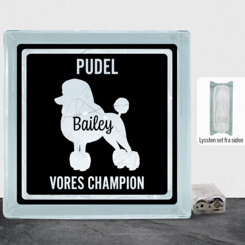 MyPets Pudel | Lyssten