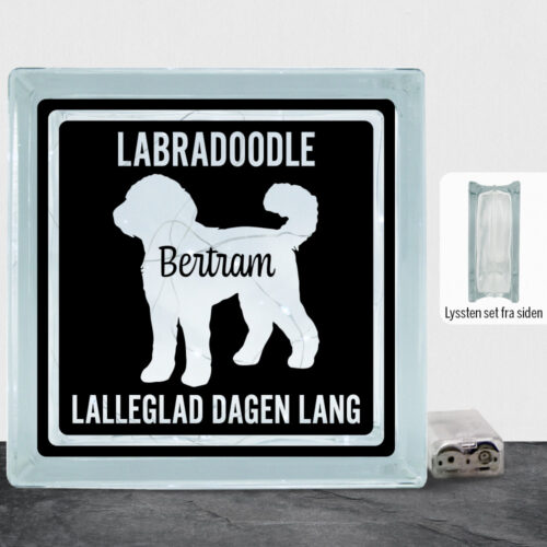 MyPets Labradoodle #2 | Lyssten