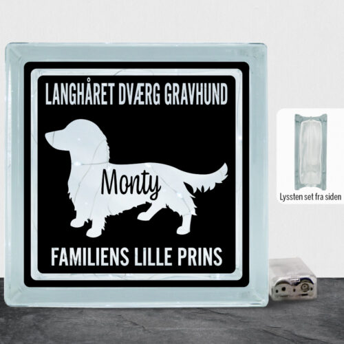 MyPets Langhåret Dværg Gravhund | Lyssten