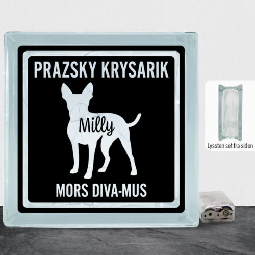MyPets Prazsky Krysarik | Lyssten