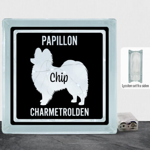 MyPets Papillon | Lyssten