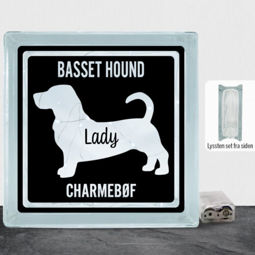 MyPets Basset Hound | Lyssten
