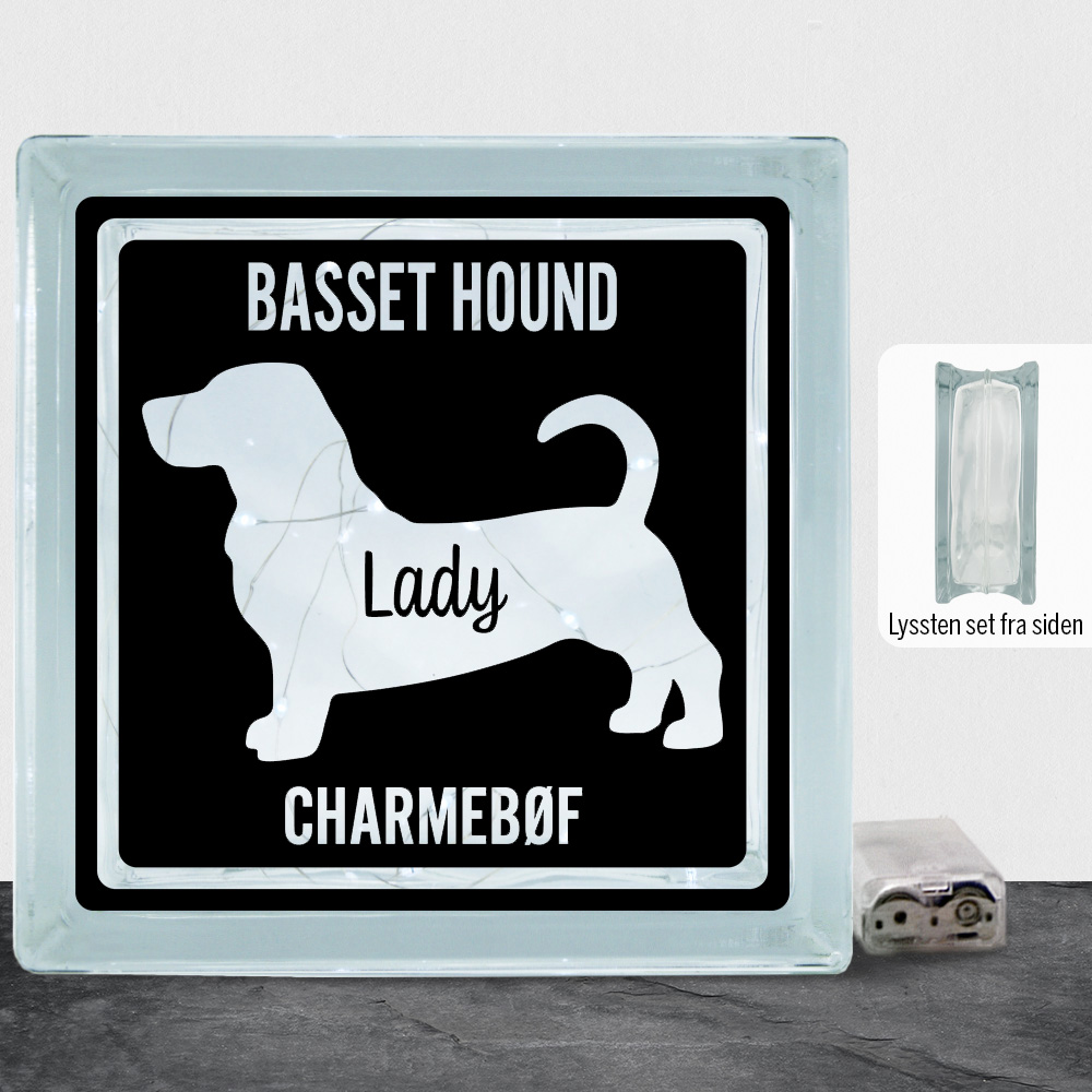 MyPets Basset Hound | Lyssten