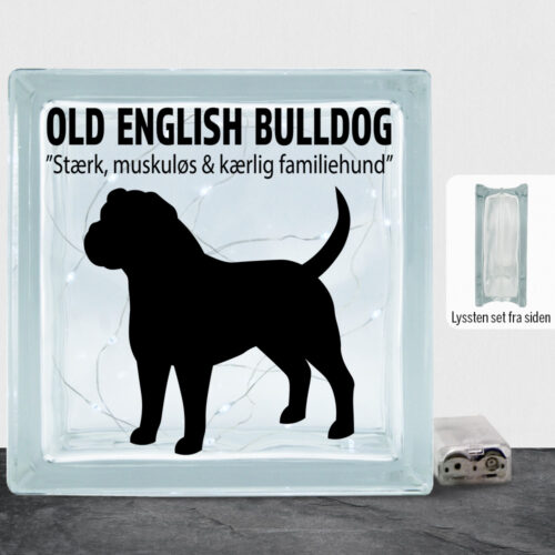 Simply Pets Old English Bulldog | Lyssten