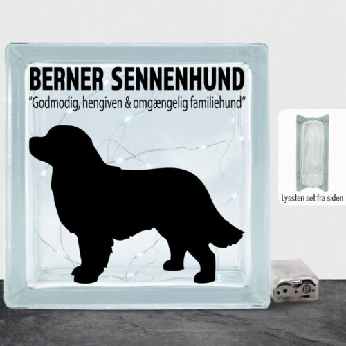 Simply Pets Berner Sennenhund | Lyssten