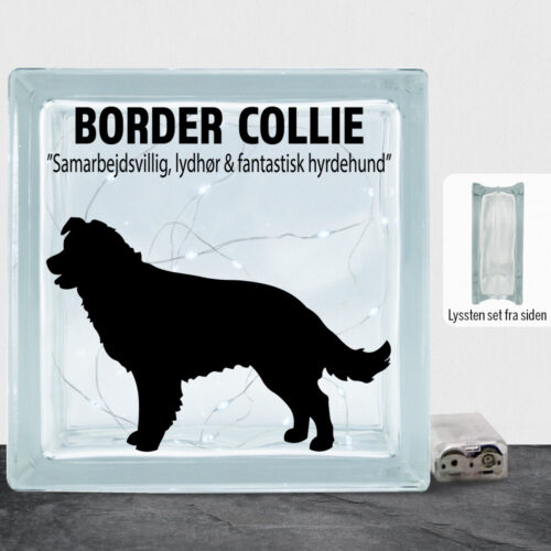 Simply Pets Border Collie | Lyssten