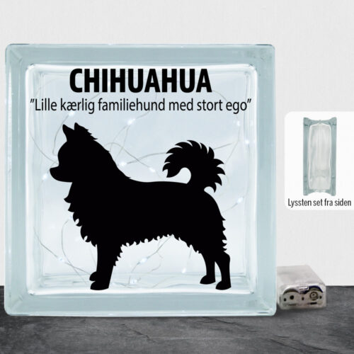 Simply Pets Chihuahua (langhåret) | Lyssten