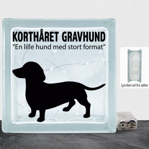 Simply Pets Korthåret Gravhund | Lyssten