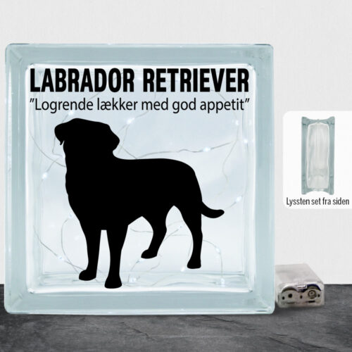 Simply Pets Labrador Retriever | Lyssten