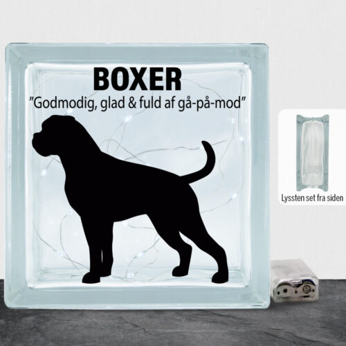Simply Pets Boxer | Lyssten