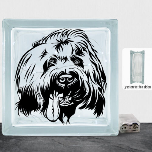 DogFace Briard | Lyssten