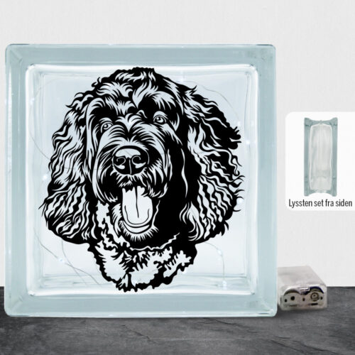 DogFace Labradoodle | Lyssten