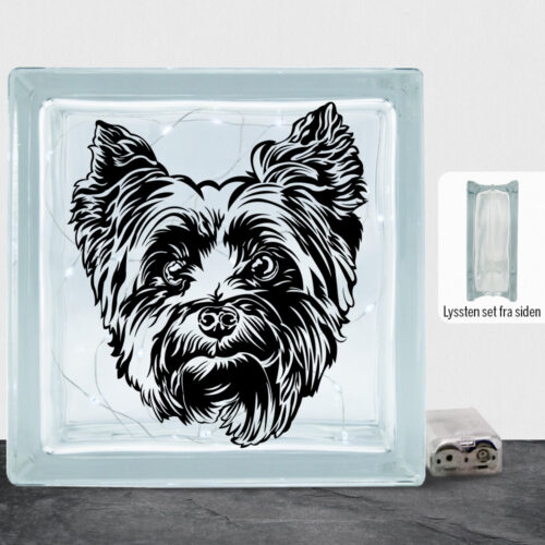 DogFace Yorkshire Terrier | Lyssten