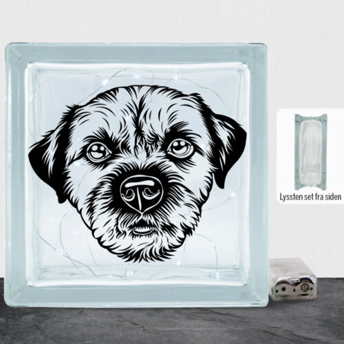 DogFace Border Terrier | Lyssten