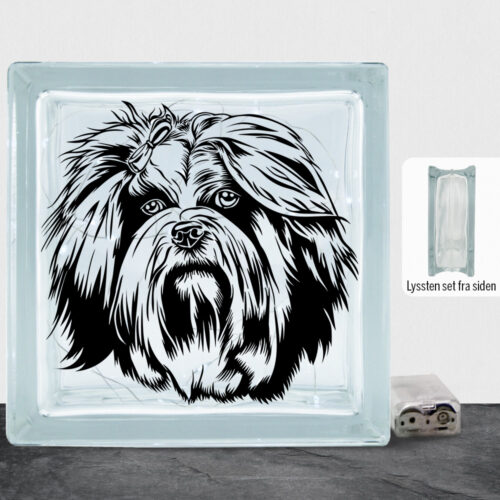 DogFace Lhasa Apso | Lyssten