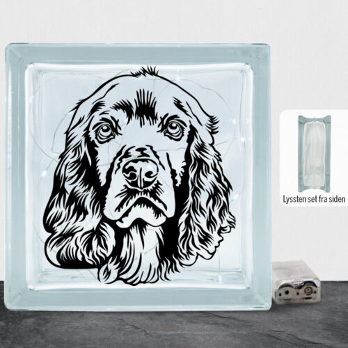 DogFace Cocker Spaniel | Lyssten