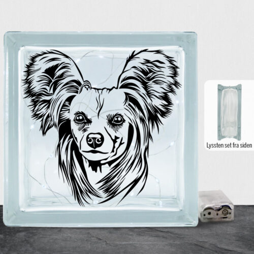 DogFace Chinese Crested | Lyssten
