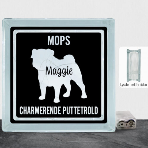 MyPets Mops #2 | Lyssten