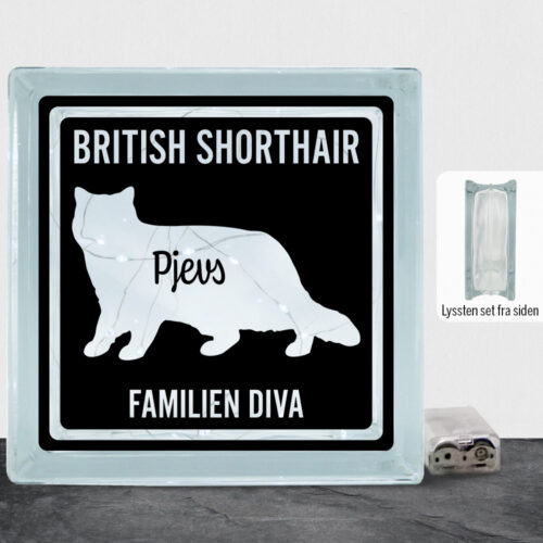 MyPets British Shorthair | Lyssten