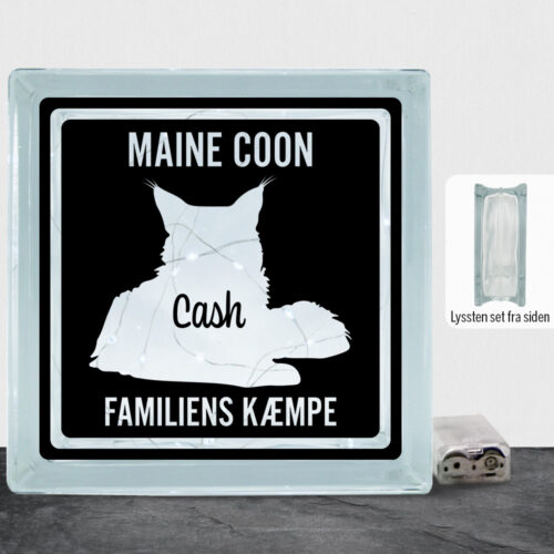 MyPets Maine Coon | Lyssten
