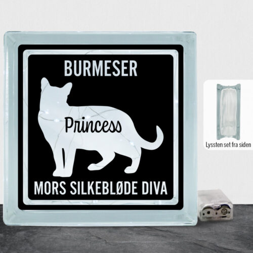 MyPets Burmeser | Lyssten