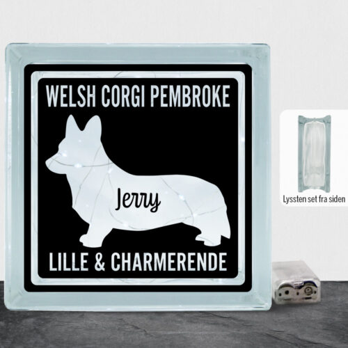 MyPets Welsh Corgi Pembroke| Lyssten