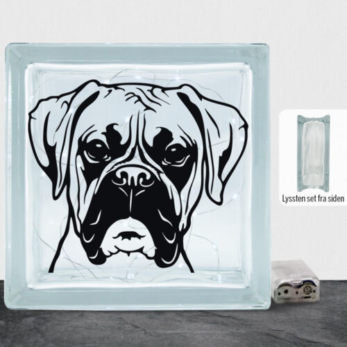 DogFace Boxer | Lyssten
