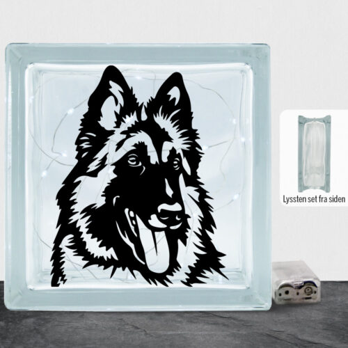 DogFace Tervueren | Lyssten