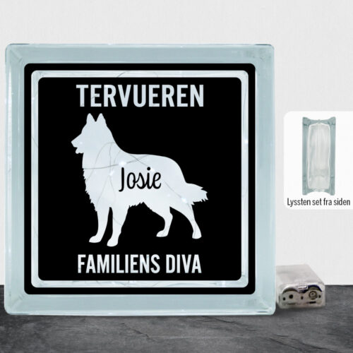 MyPets Tervueren | Lyssten