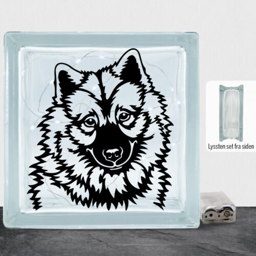 DogFace Eurasier | Lyssten