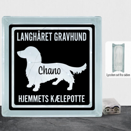 MyPets Langhåret Gravhund | Lyssten